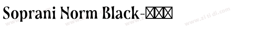 Soprani Norm Black字体转换